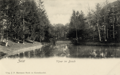 16291 Gezicht op de grote vijver met omringende naaldbomen in het Zeister Bosch te Zeist.